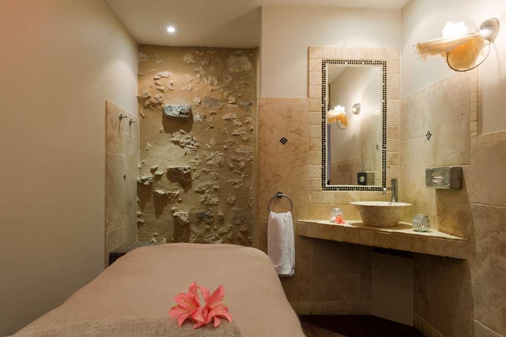 Hotel Ogaux Vieux Remparts Provins Servizi foto